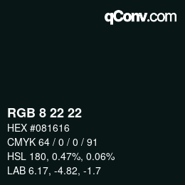 Color code: RGB 8 22 22 | qconv.com