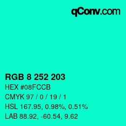 Color code: RGB 8 252 203 | qconv.com
