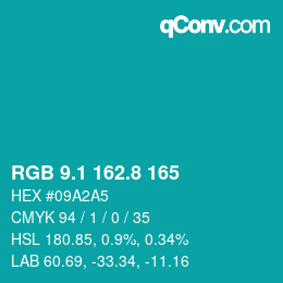 カラーコード: RGB 9.1 162.8 165 | qconv.com