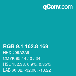 カラーコード: RGB 9.1 162.8 169 | qconv.com