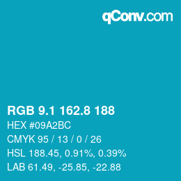 カラーコード: RGB 9.1 162.8 188 | qconv.com