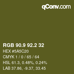 Color code: RGB 90.9 92.2 32 | qconv.com
