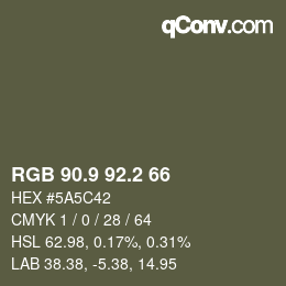 Color code: RGB 90.9 92.2 66 | qconv.com