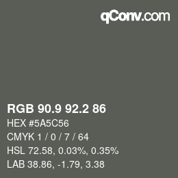 Color code: RGB 90.9 92.2 86 | qconv.com