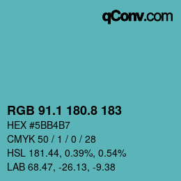 Farbcode: RGB 91.1 180.8 183 | qconv.com