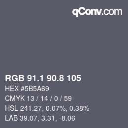 Color code: RGB 91.1 90.8 105 | qconv.com