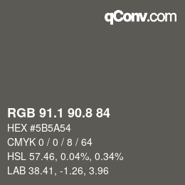 Color code: RGB 91.1 90.8 84 | qconv.com