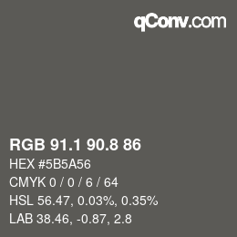 Color code: RGB 91.1 90.8 86 | qconv.com