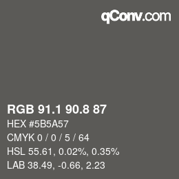 Color code: RGB 91.1 90.8 87 | qconv.com