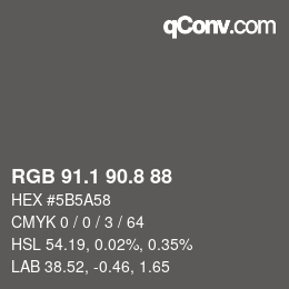 Farbcode: RGB 91.1 90.8 88 | qconv.com