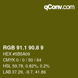 Color code: RGB 91.1 90.8 9 | qconv.com