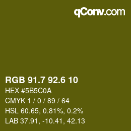 カラーコード: RGB 91.7 92.6 10 | qconv.com