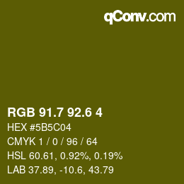 カラーコード: RGB 91.7 92.6 4 | qconv.com