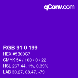 Color code: RGB 91 0 199 | qconv.com