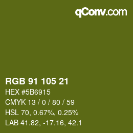 カラーコード: RGB 91 105 21 | qconv.com