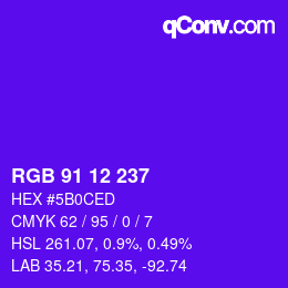 Color code: RGB 91 12 237 | qconv.com