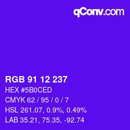 Color code: RGB 91 12 237 | qconv.com