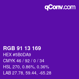 Color code: RGB 91 13 169 | qconv.com