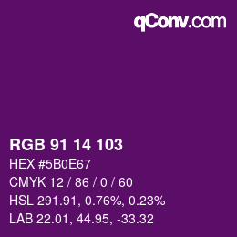 Color code: RGB 91 14 103 | qconv.com