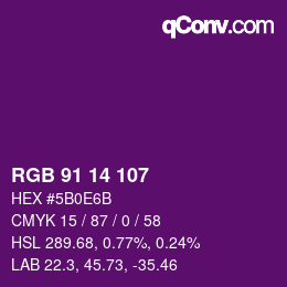 Color code: RGB 91 14 107 | qconv.com