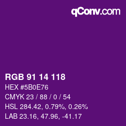 Color code: RGB 91 14 118 | qconv.com