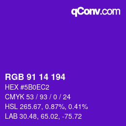 Color code: RGB 91 14 194 | qconv.com