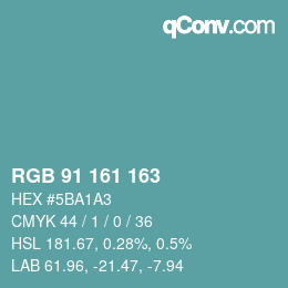 カラーコード: RGB 91 161 163 | qconv.com