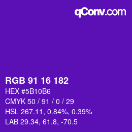 Color code: RGB 91 16 182 | qconv.com