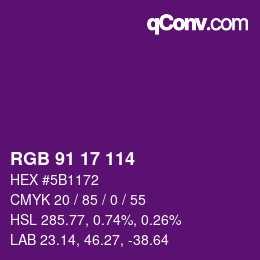 Color code: RGB 91 17 114 | qconv.com
