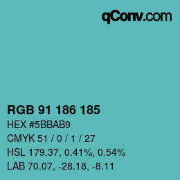 Color code: RGB 91 186 185 | qconv.com