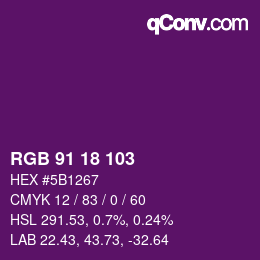 Color code: RGB 91 18 103 | qconv.com