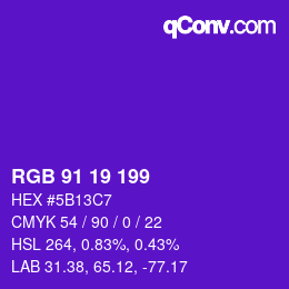 Color code: RGB 91 19 199 | qconv.com
