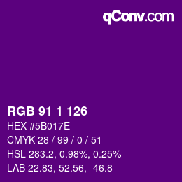 Color code: RGB 91 1 126 | qconv.com