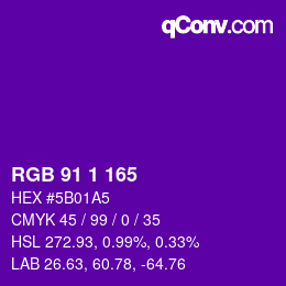 Color code: RGB 91 1 165 | qconv.com