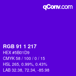 Color code: RGB 91 1 217 | qconv.com