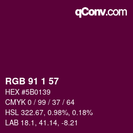 Color code: RGB 91 1 57 | qconv.com