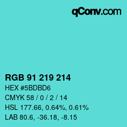 Color code: RGB 91 219 214 | qconv.com