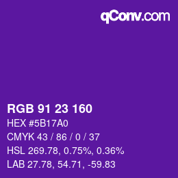 Color code: RGB 91 23 160 | qconv.com