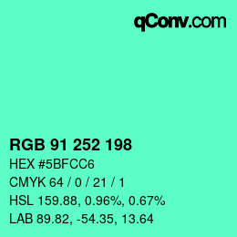 Color code: RGB 91 252 198 | qconv.com