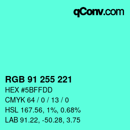 Color code: RGB 91 255 221 | qconv.com