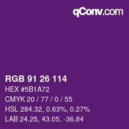 Color code: RGB 91 26 114 | qconv.com
