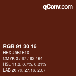 颜色代码: RGB 91 30 16 | qconv.com