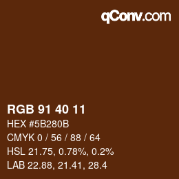 Código de color: RGB 91 40 11 | qconv.com