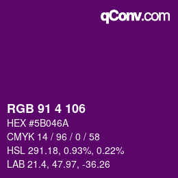 Color code: RGB 91 4 106 | qconv.com