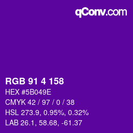 Color code: RGB 91 4 158 | qconv.com