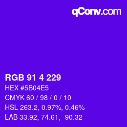 Color code: RGB 91 4 229 | qconv.com