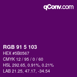 Color code: RGB 91 5 103 | qconv.com