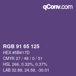 颜色代码: RGB 91 65 125 | qconv.com