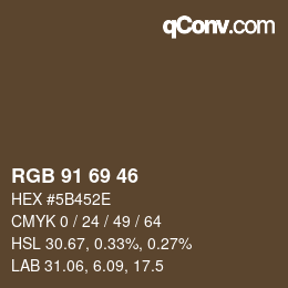 Código de color: RGB 91 69 46 | qconv.com