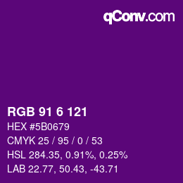 Color code: RGB 91 6 121 | qconv.com